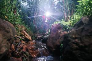 BIB: 
                            <button type="button" onclick="openModal(26418821)" class="btn btn-primary btn-sm float-right btn-popup" data-toggle="modal" data-target=".modal-high-quality">
                        <i class="fas fa-shopping-cart"></i> Add to Cart
                    </button>
                                            <button type="button" onclick="isThisMe(26418821, true)" class="btn btn-success btn-sm float-right btn-popup btn-isme hidden" data-toggle="tooltip" data-placement="bottom" title="นี่คือรูปของคุณใช่ไหม คลิกที่นี่เพื่อเอาเข้าอัลบั้ม">
                        <i class="fas fa-plus"></i> Add to album
                    </button>
                    <button type="button" onclick="isThisMe(26418821, false)" class="btn btn-warning btn-sm float-right btn-popup btn-isnotme hidden">
                        <i class="fas fa-ban"></i> Remove from album
                    </button>